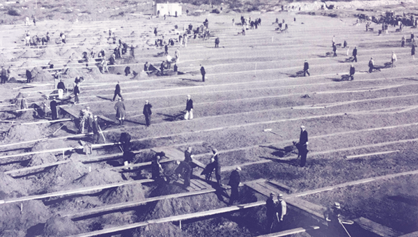 Workers remove bodies from a San Francisco graveyard.