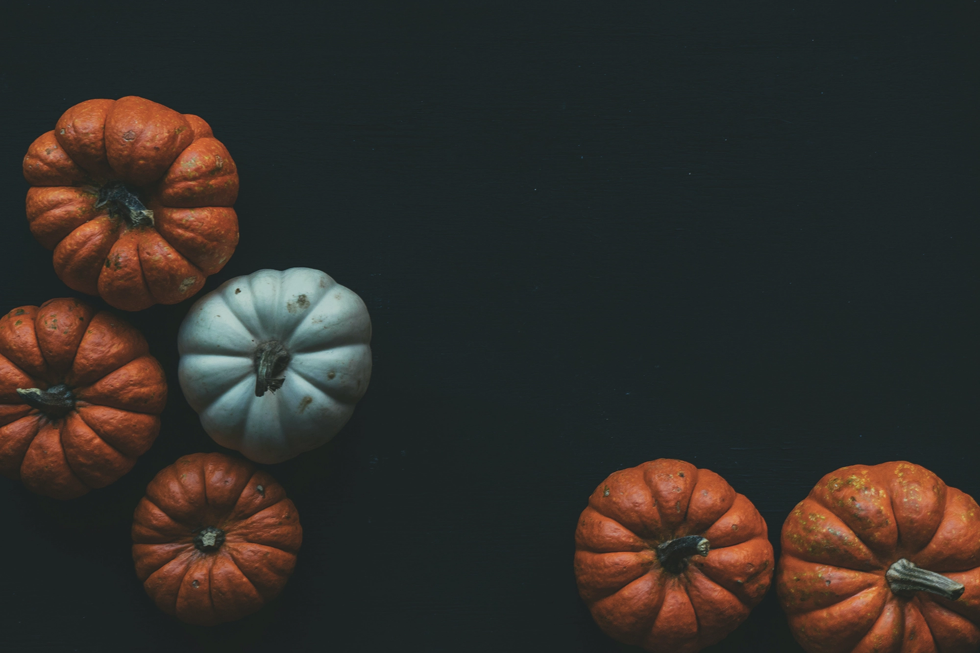 A collection of mini pumpkins