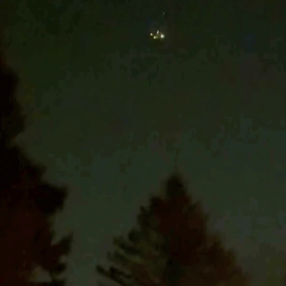 Photo by @xGabbyNu of drone sighting - suspicious lights in the sky above a dark tree line