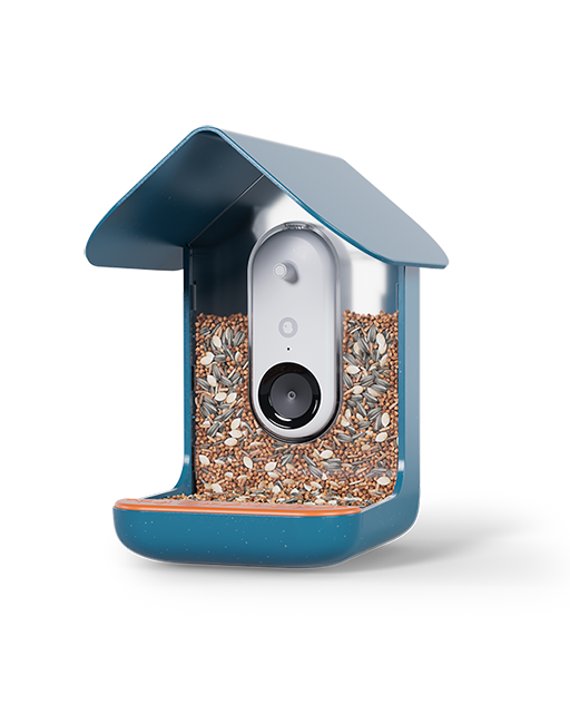 Image of the Bird Buddy bird feeder, which has a built in camera to spy on your bird neighbors 