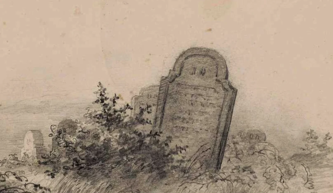 Body Snatching in America